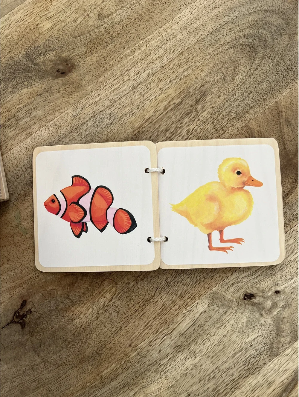 Lovevery Bundle, Hide & Find Drop Box Baby Toy and Colorful Animals Wooden Book